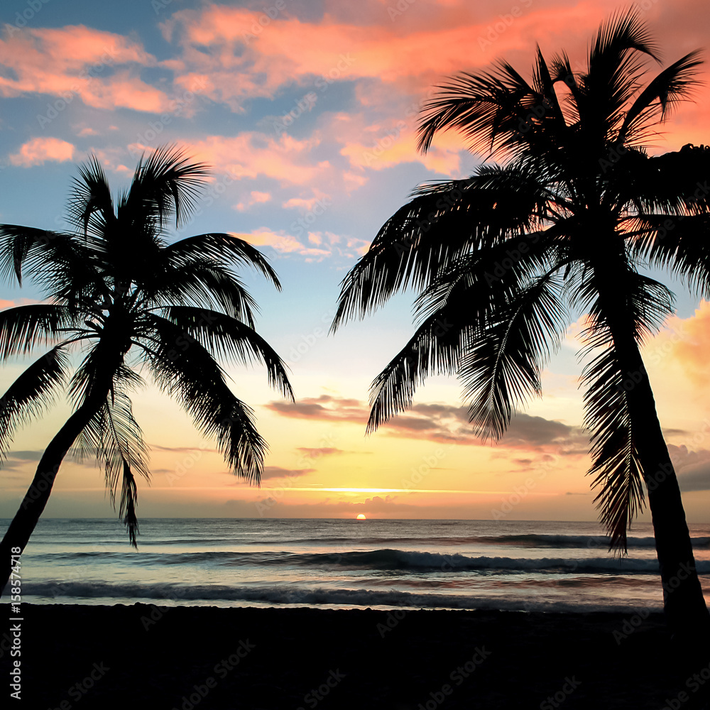 Coucher de soleil, plage de rêve et palmiers Stock Photo | Adobe Stock