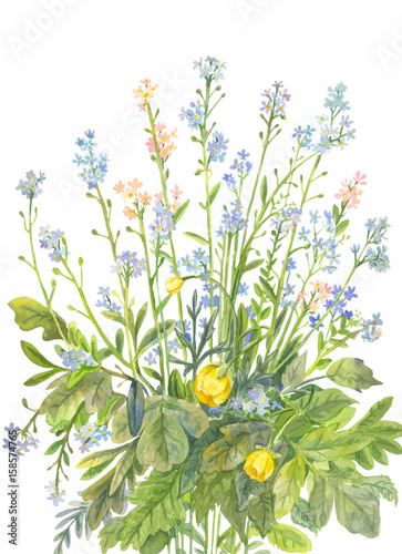 Bouquet of forget-me-nots with watercolor