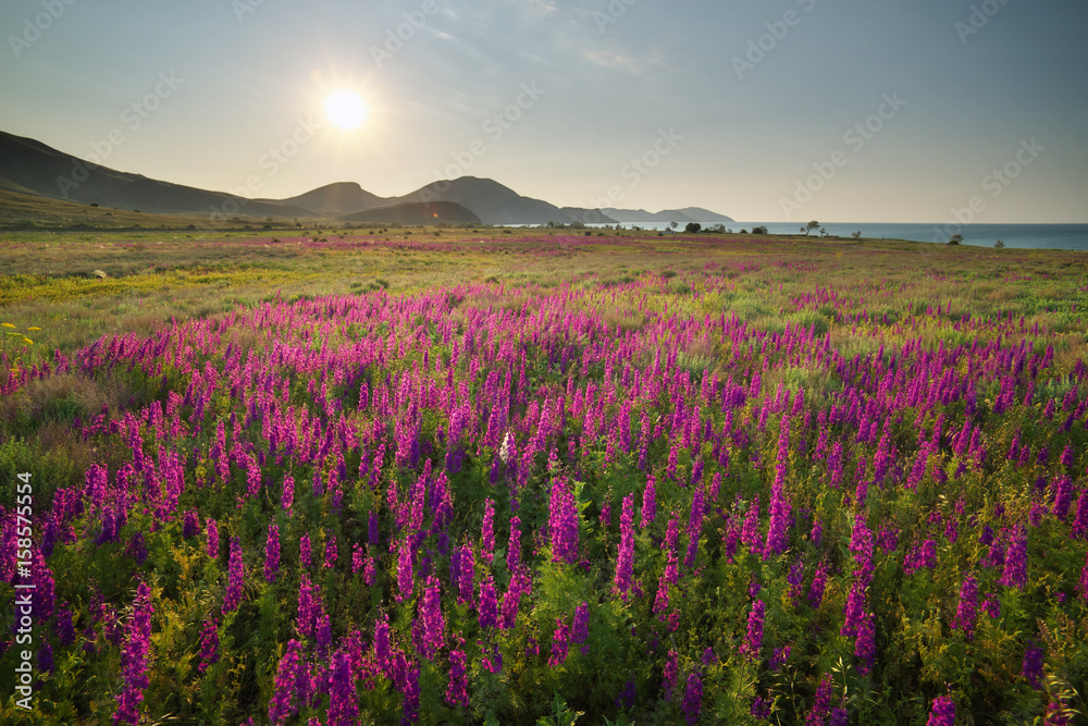 Beatiful nature landscape.