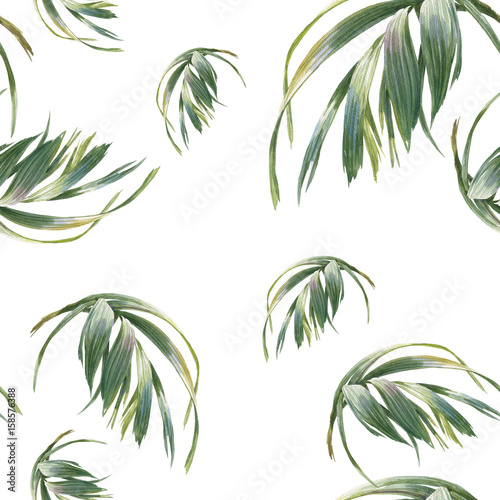 Watercolor illustration of leaf  seamless pattern on white background