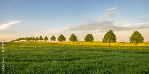 field landscape, farmlands summer