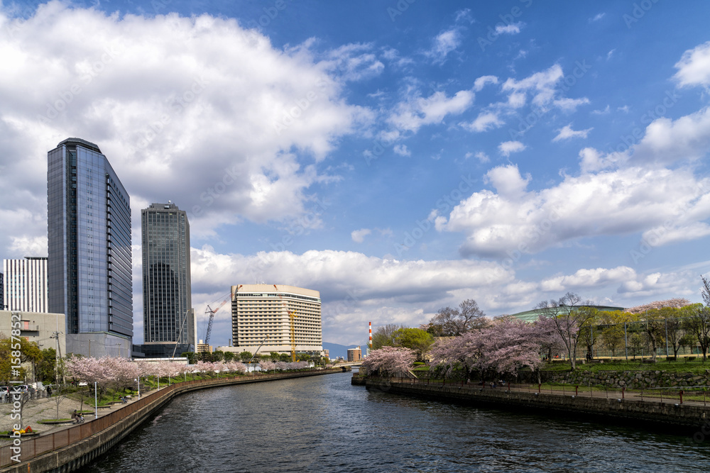Fototapeta premium The canal around Osaka Castle