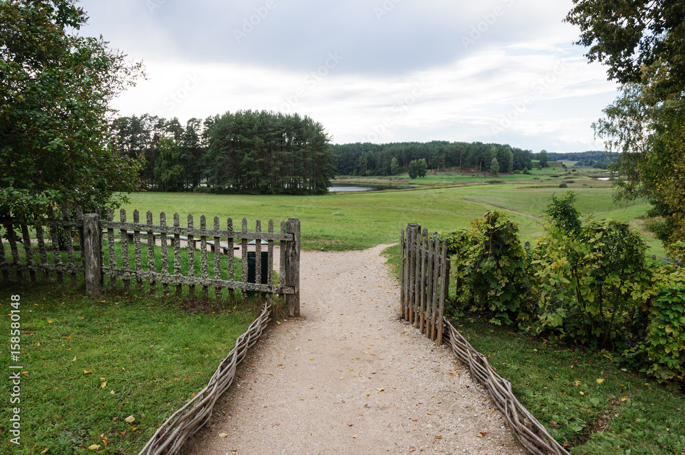 Country landscape with meadow and forest