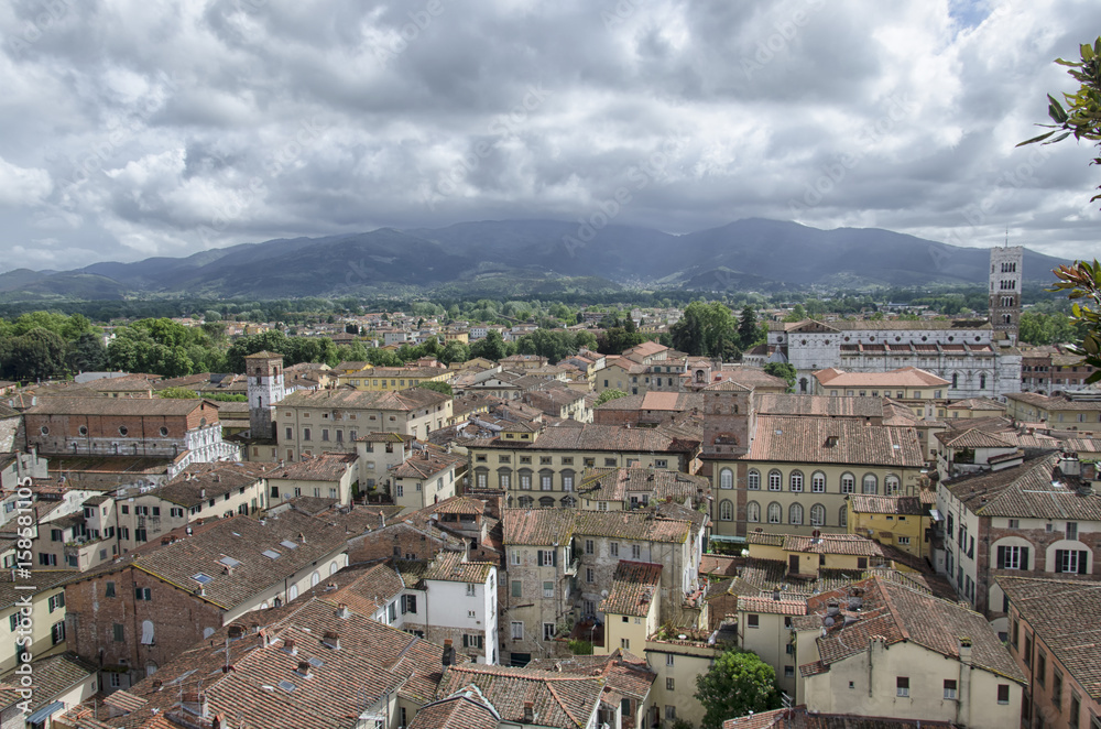 City of Lucca seen from the Torre Guinigi