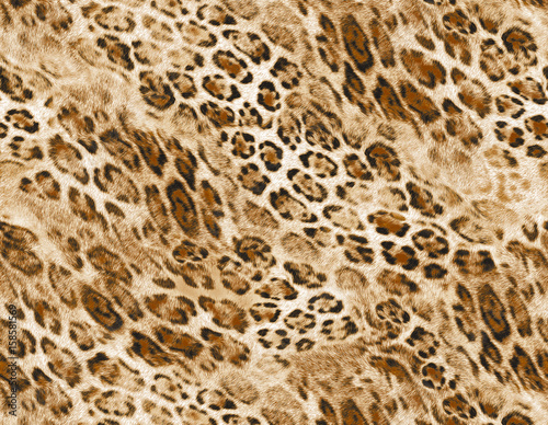 Leopard pattern