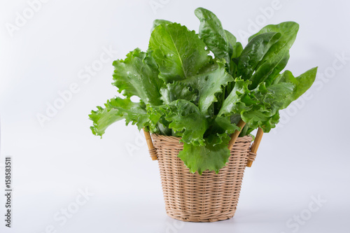 Lettuce, spinach in basket  ready for salad  on a white background. Healthy food.Fresh herbs.