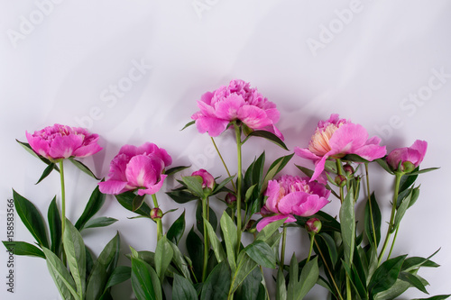 Set of pink peonies flowers pattern  isolated on white background