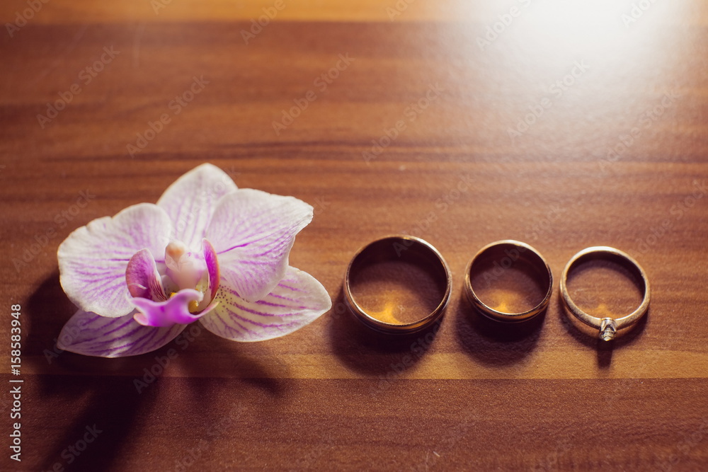 Fotografie background with blossom and wedding rings