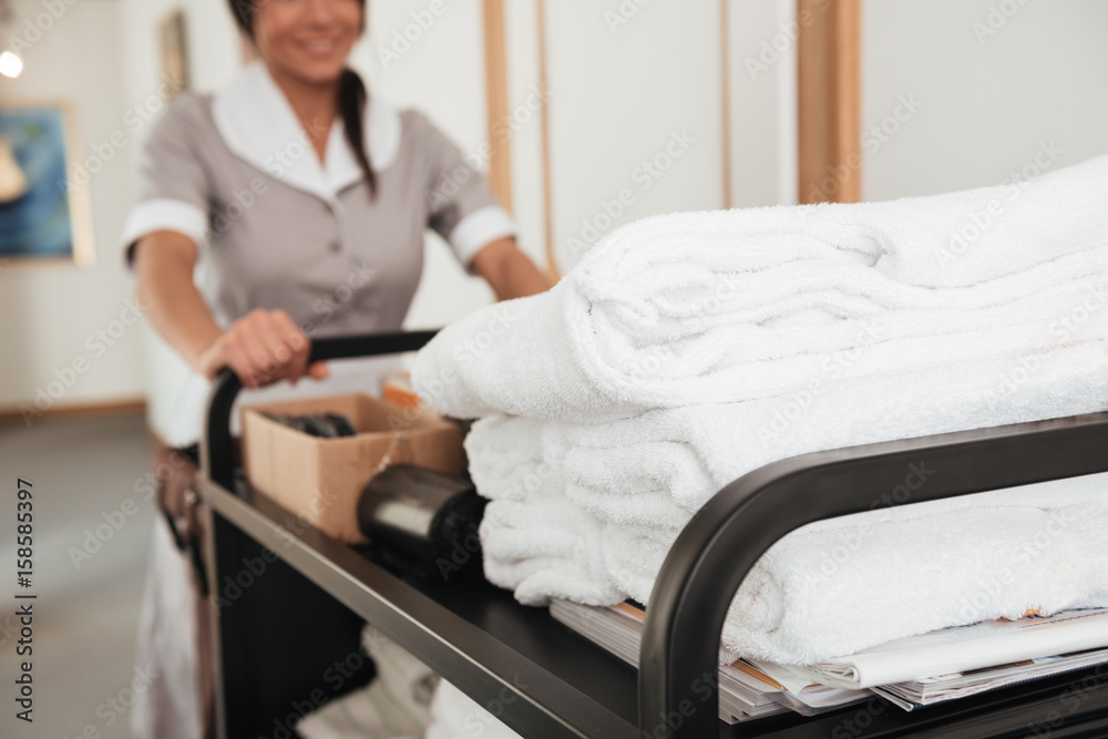 Ταπετσαρία Cropped image of a young hotel maid bringing clean towels