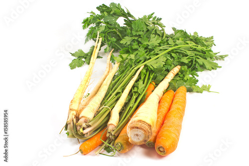 Parsley and carrot isolated on white background