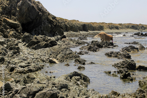 isla rocosa. photo