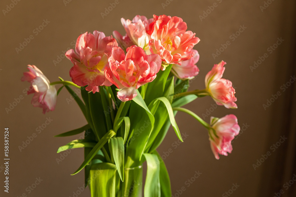 variety of pink tulips, bouquet of tulips