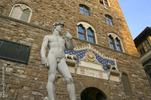 Florence David Palazzo Vecchio photo