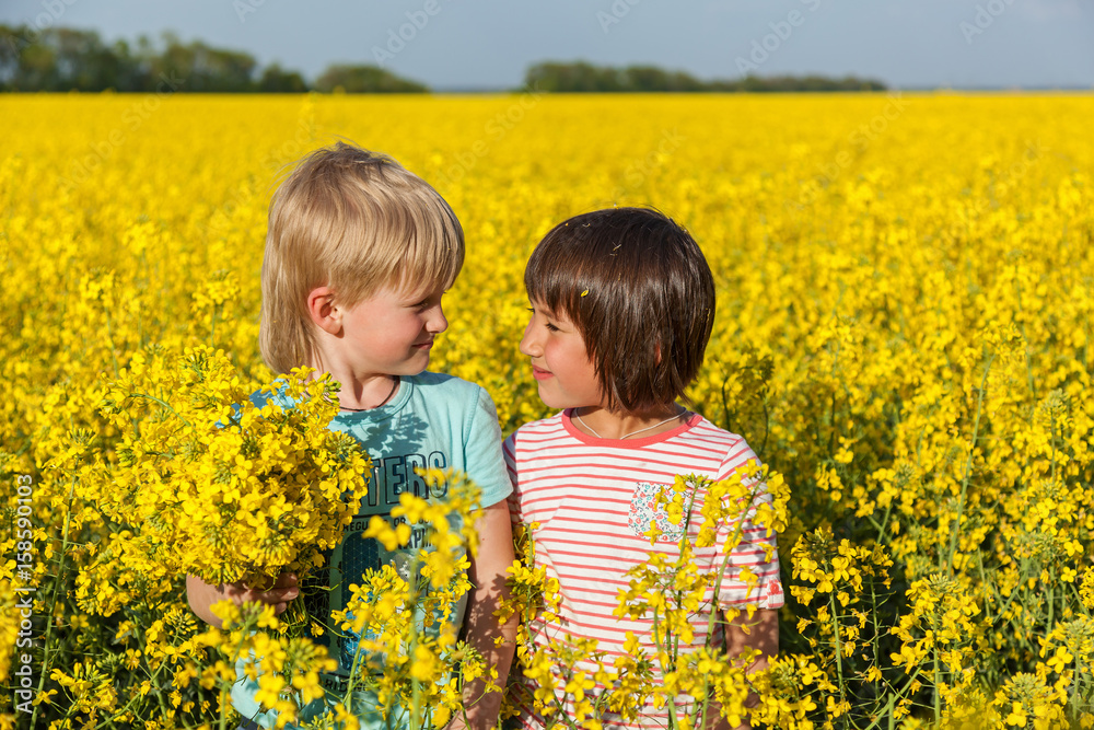 children in the field with the flowering yellow flowers of rape children in the field with the flowering yellow flowers of rape