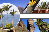 Collage of beach holiday scenes, Tenerife, Spain