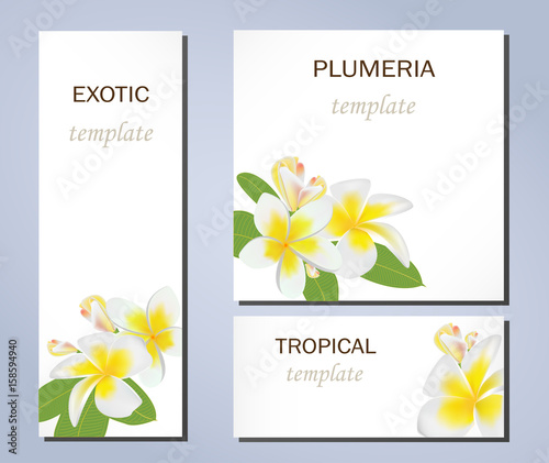 Tropical flowers of plumeria on templates for business cards and other presentations