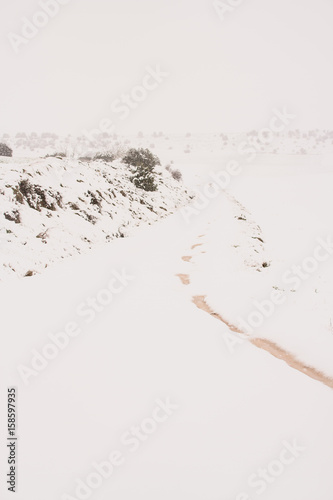 Paisaje nevado con un camino curvo 