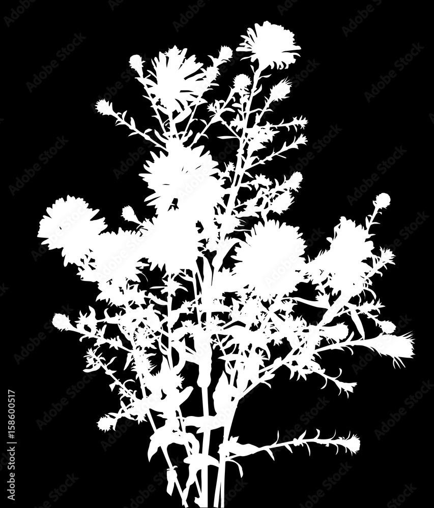 Naklejka premium bunch of garden white flower silhouettes on black