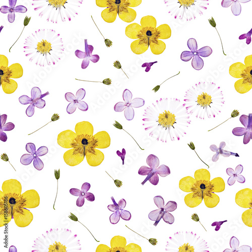 Pressed and dried flowers pattern