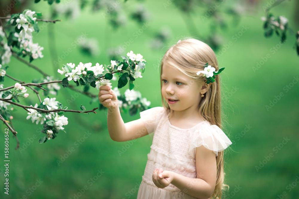 Little girl is walking in an apple garden Little girl is walking in an apple garden