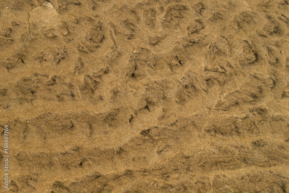 Detail of sand dune. Sand Texture.