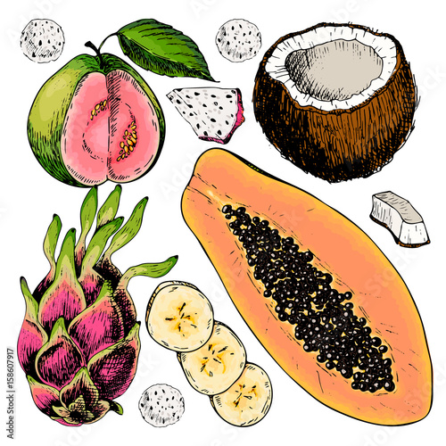 Vector hand drawn set of exotic fruits. Isolated papaya, pitaya, banana, guava, coconut. Engraved colored art. Delicious tropical vegetarian objects.