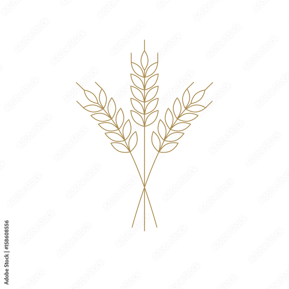 wheat or barley icon, outline vector for logo wheat or barley icon, outline vector for logo