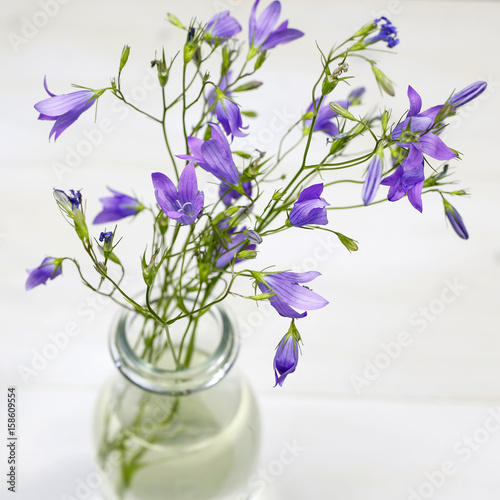 Bouquet of summer fresh flowers  campanula  in glass vase on white background