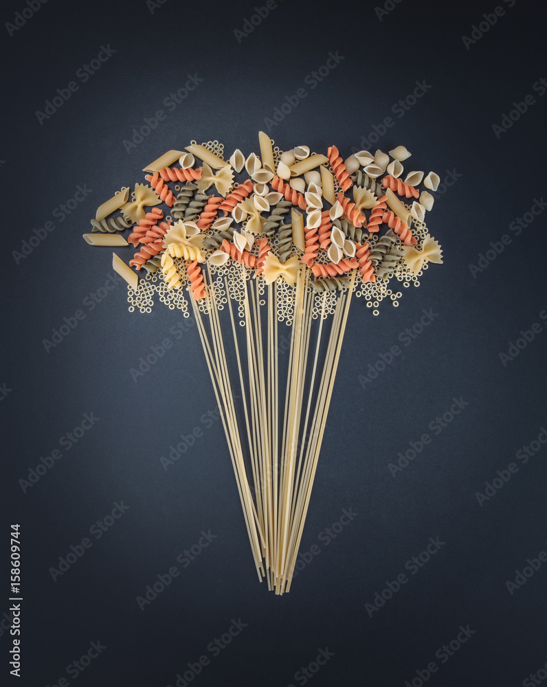 Macaroni and spaghetti, Sheaf of spaghetti. Components products. Cooking concept.