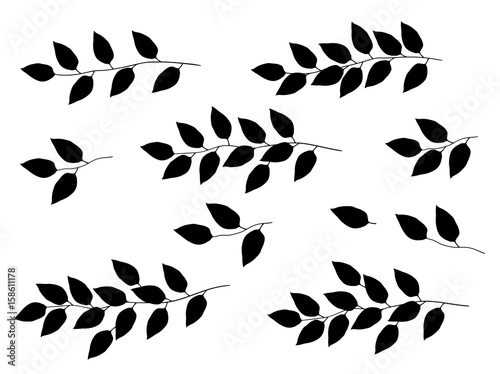 set of black tree branches with leaves