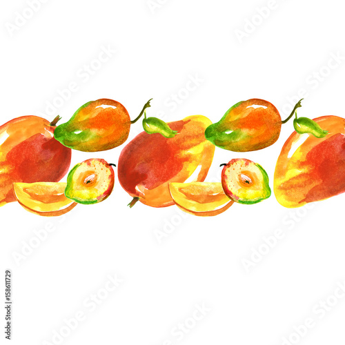 Fototapeta Naklejka Na Ścianę i Meble -  Watercolor line, border, element from the picture of mango fruit. Slice, fruit, fruit for design. On isolated white background. Vintage and possible pattern