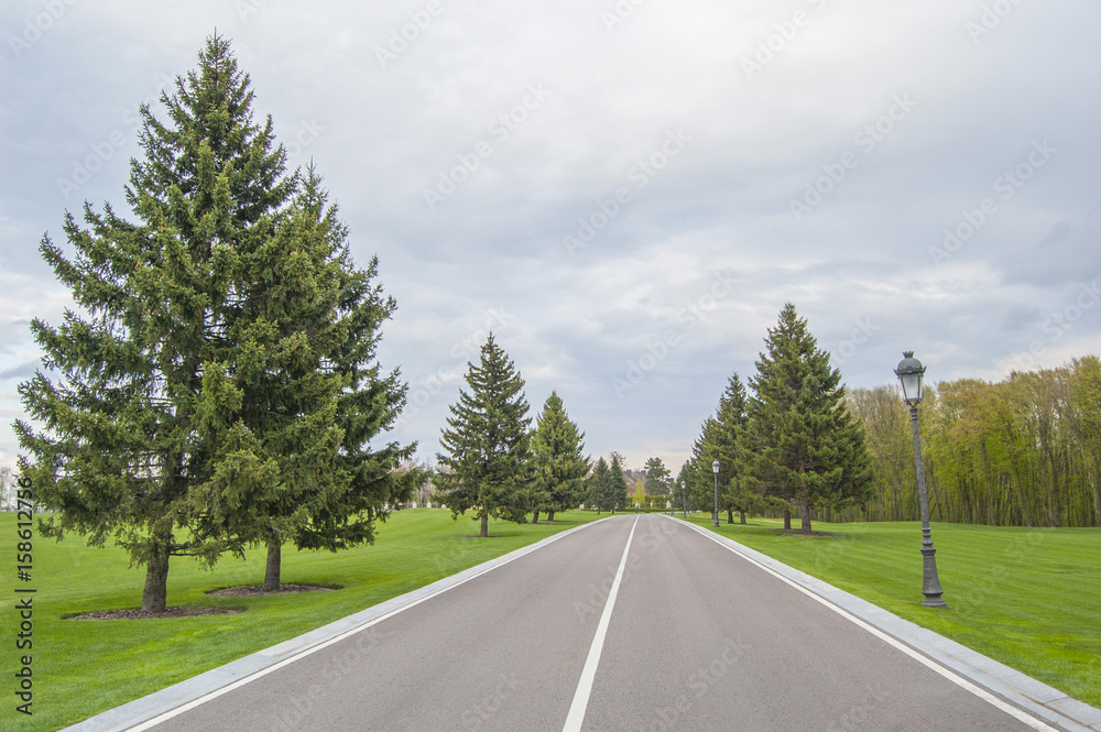 Fototapeta premium Long asphalt road. Forest, lawn and grey sky, landscape background. Spring or summer.