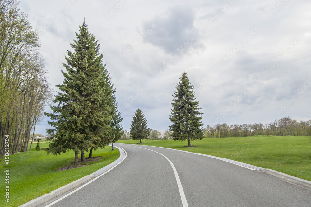 Naklejka premium Long asphalt road. Forest, lawn and grey sky, landscape background. Spring or summer.