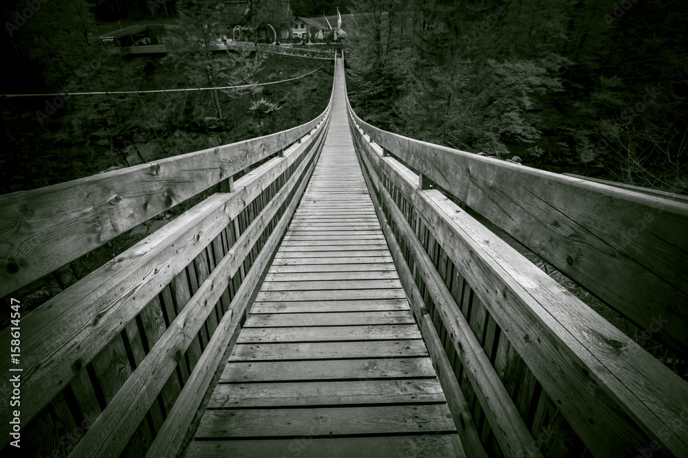 Fototapeta premium Bridge