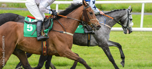 Close up detail of two racehorses and jockeys competing in a race