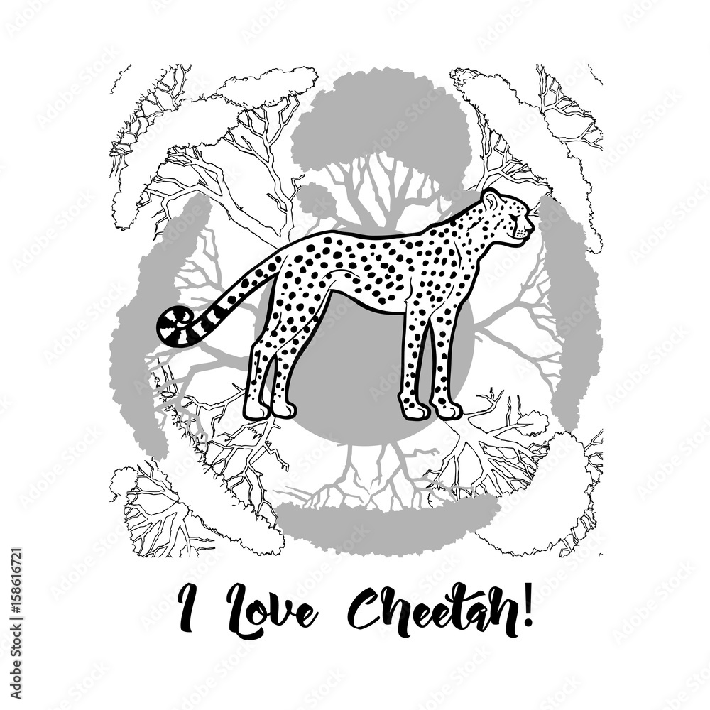 Naklejka premium Cheetah print