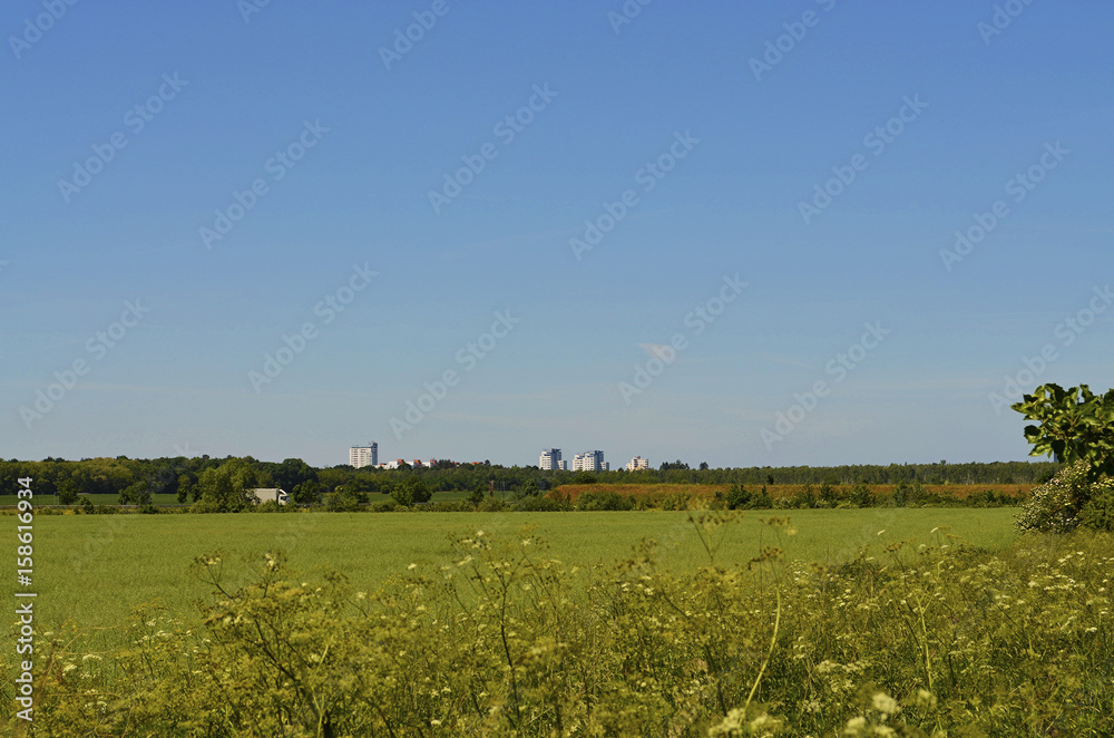 View in the direction of South-Berlin View in the direction of South-Berlin