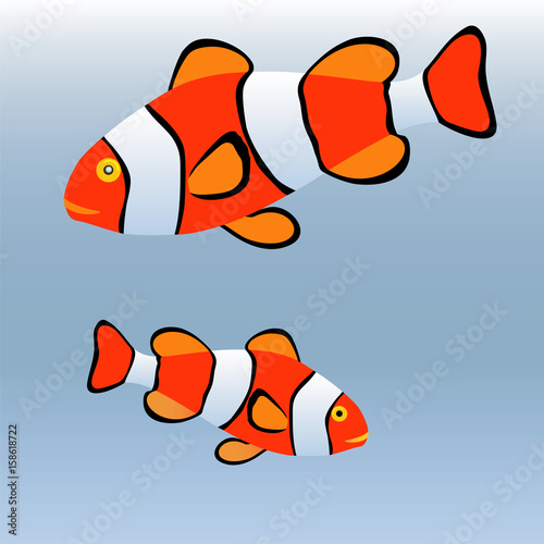 clown fish or anemone fish