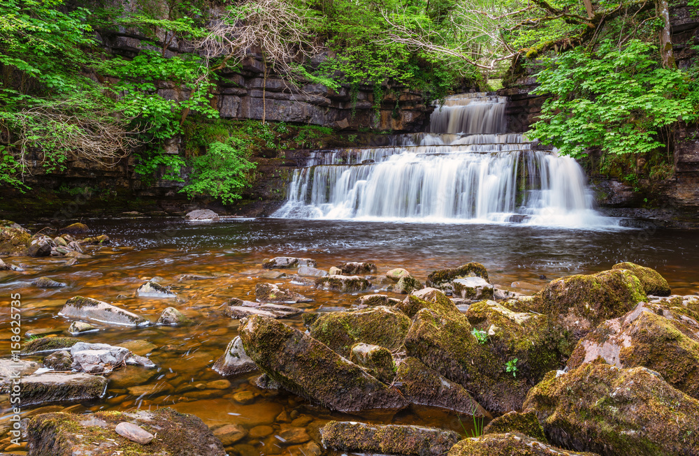 Fototapeta premium Cotterdale Beck flows over Cotter Force / Cotter Force is a waterfall on Cotterdale Beck, a minor tributary of the River Ure, near the mouth of Cotterdale, a side dale in Wensleydale, North Yorkshire