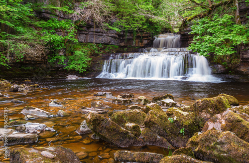 Fototapeta Naklejka Na Ścianę i Meble -  Cotterdale Beck flows over Cotter Force / Cotter Force is a waterfall on Cotterdale Beck, a minor tributary of the River Ure, near the mouth of Cotterdale, a side dale in Wensleydale, North Yorkshire