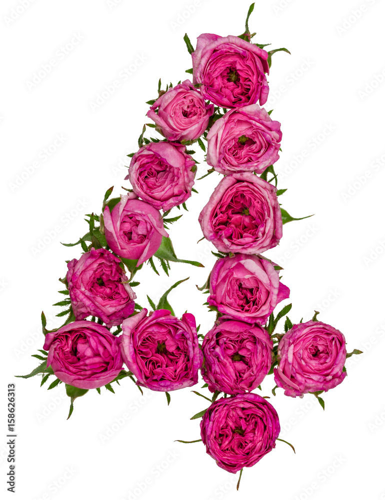 Arabic numeral 4, four, from red flowers of rose, isolated on white background Arabic numeral 4, four, from red flowers of rose, isolated on white background