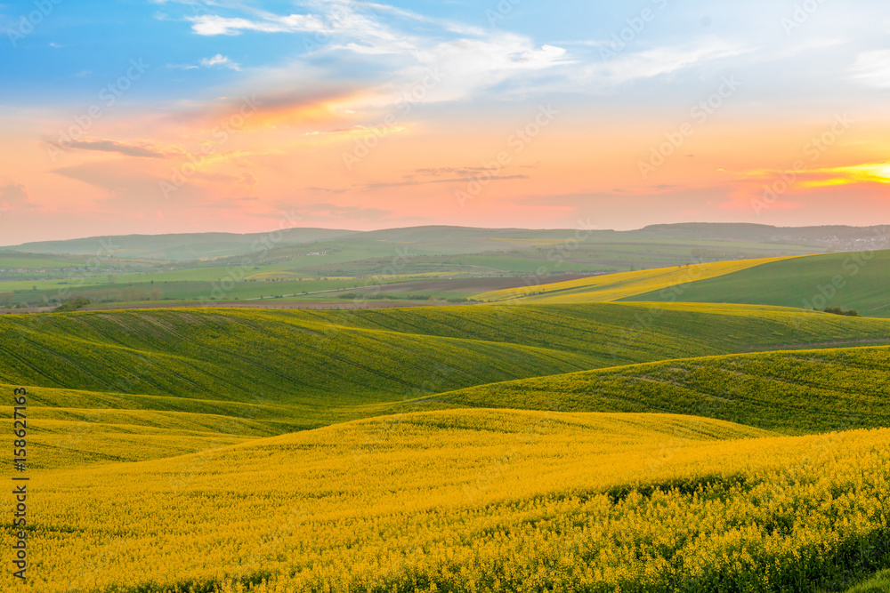 Moravia Hills and Rapeseed Fields