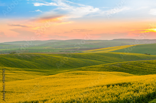 Moravia Hills and Rapeseed Fields