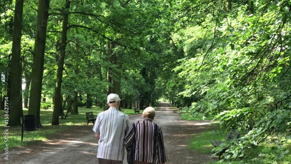 Senior couple enjoying walking in the summer Park