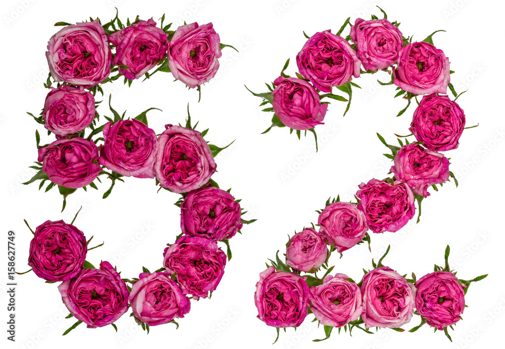 Arabic numeral 52, fifty two, from red flowers of rose, isolated on white background