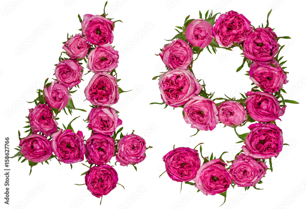 Arabic numeral 49, forty nine, from red flowers of rose, isolated on white background