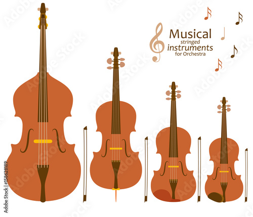 Musical stringed instruments for orchestra. Vector illustration