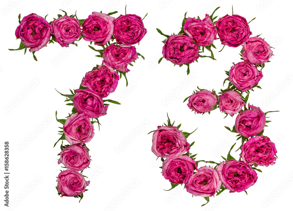 Arabic numeral 73, seventy three, from red flowers of rose, isolated on white background