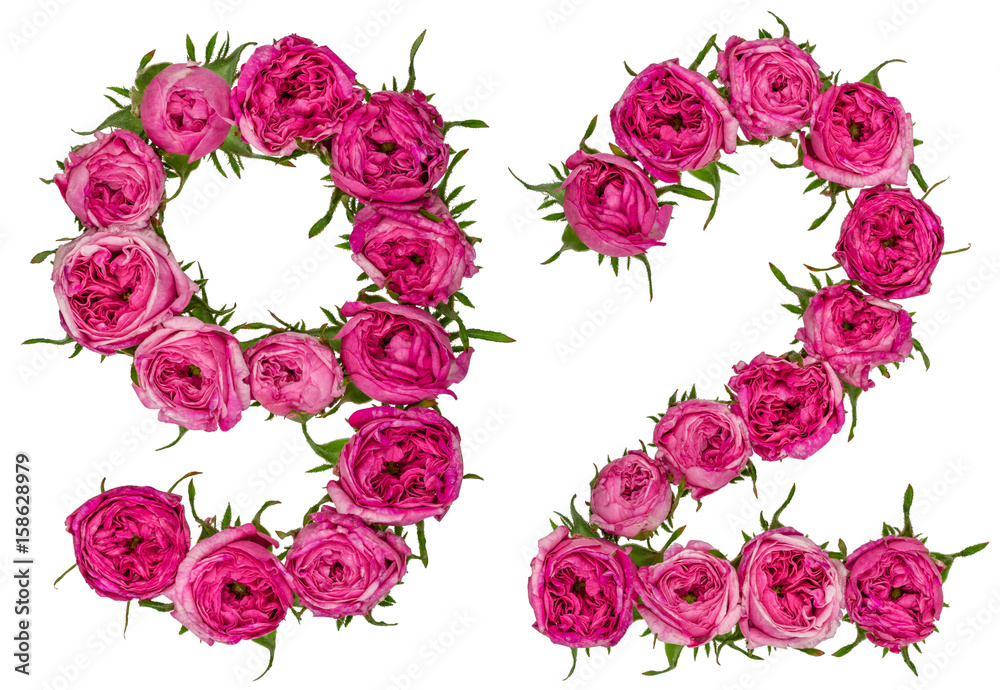 Arabic numeral 92, ninety two, from red flowers of rose, isolated on white background