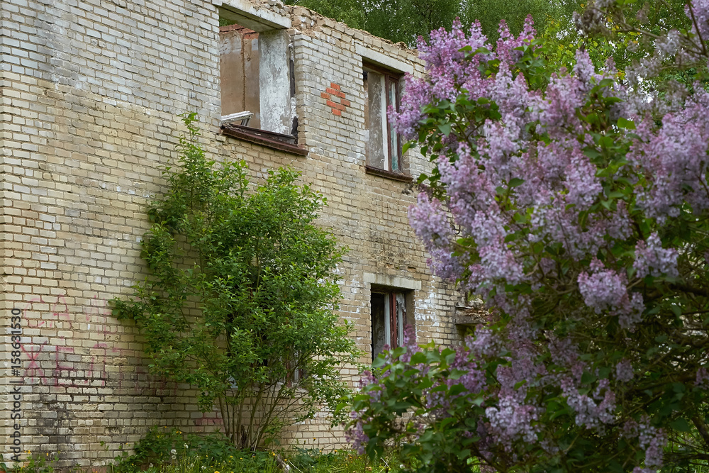 old abandoned house in woods